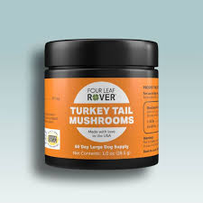 Four Leaf Rover Turkey Tail Supplement